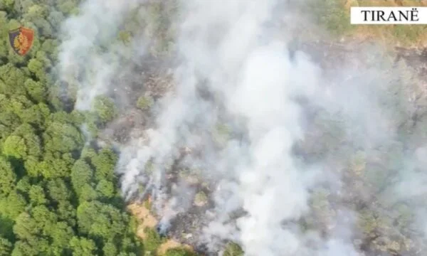 He burned about 600 hectares in Dajti National Park, arrested 63-year-old shepherd who lit fire