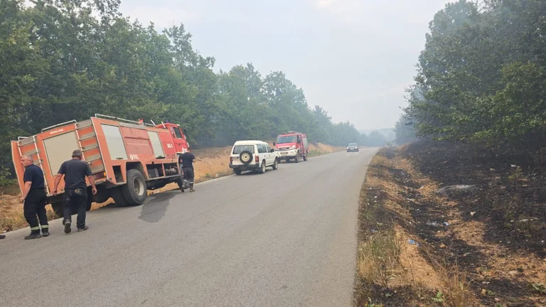 Feuerhäuser in mehreren Bereichen, die Crenasis Gemeinde hat einen Appell für Bürger