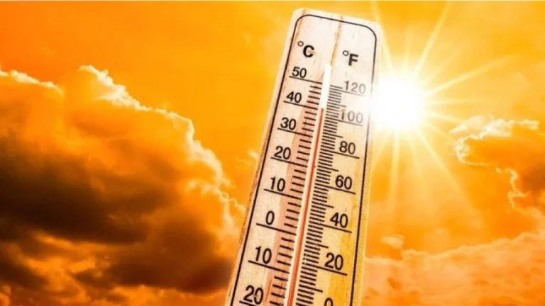 Preparati: Temperature questa settimana fino a 41% C# file sorgente