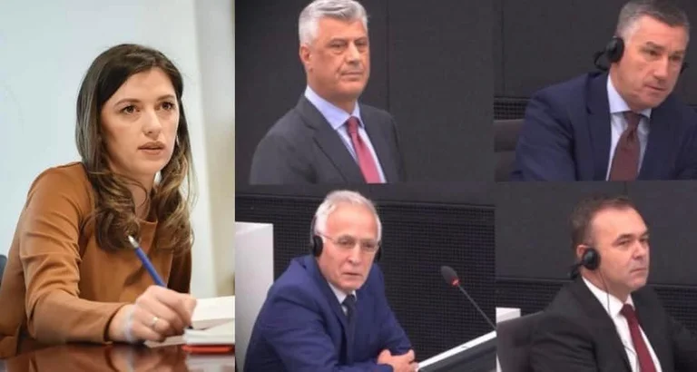“Il governo sta deliberatamente minando il processo all'Aia” Reiezione critica del “Supporto per la protezione della giuria