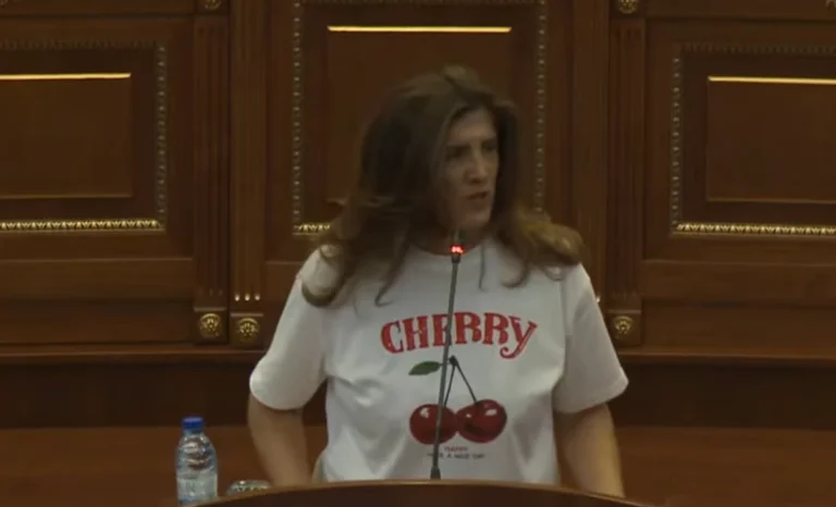 Debat in the Assembly. Musliu addresses Dehar: If you have only a little human morality left, the last one stops his word