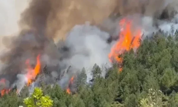 Las llamas se acercan al parque Llogara en Albania.