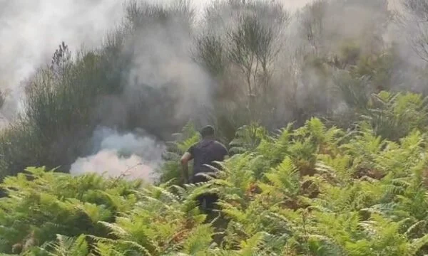 Tre vigili del fuoco a Dukat, Vlora, mandati in ospedale per assistenza medica