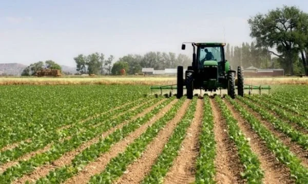 Comment le Kosovo exploite-t-il les terres agricoles?