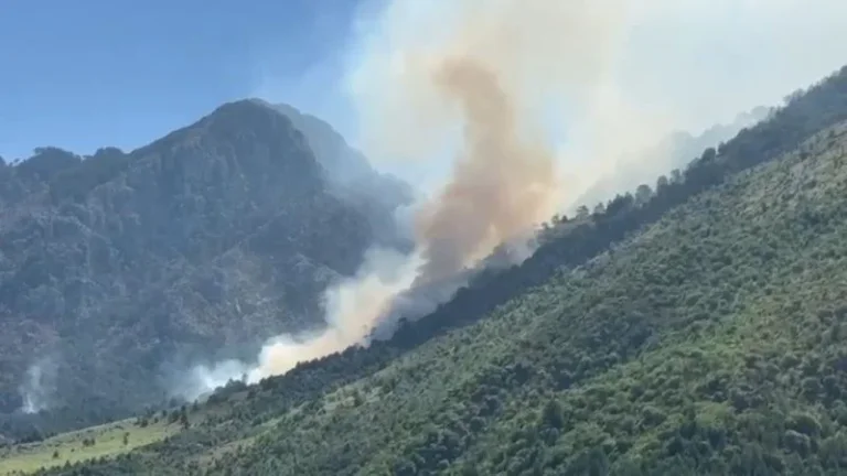 Fire in Dukat endangers Llogara National Park, air intervention required
