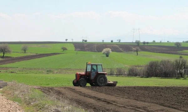 A SC: Menos tierras agrícolas consumidas en 2024 que 2023