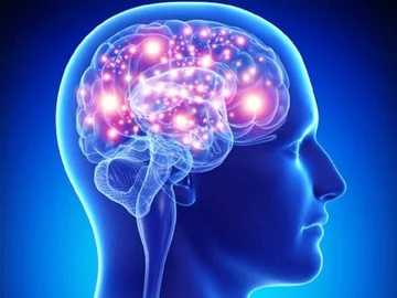 Researchers discover significant changes in the brain associated with psychosis