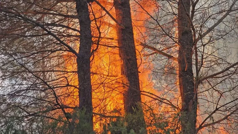 Fires “match” Albania 18 squares within 24 hours, two still active