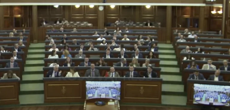 Consorte del Parlamento europeo: VV “pishmane