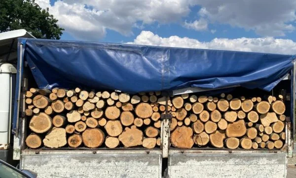 Polizei verhindert Holzschmuggel in Ferizaj