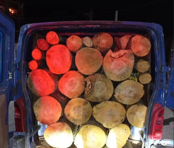 Illegaler Transport nach Shtrpce, beschlagnahmtes Fahrzeug zusammen mit Holz