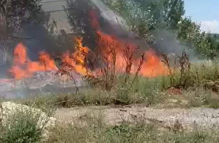 41 incendios en todo el país 14 siguen activos
