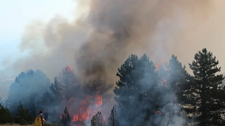 15 Kosovo active fire departments, KFOR helicopters intervene in Skenderaj