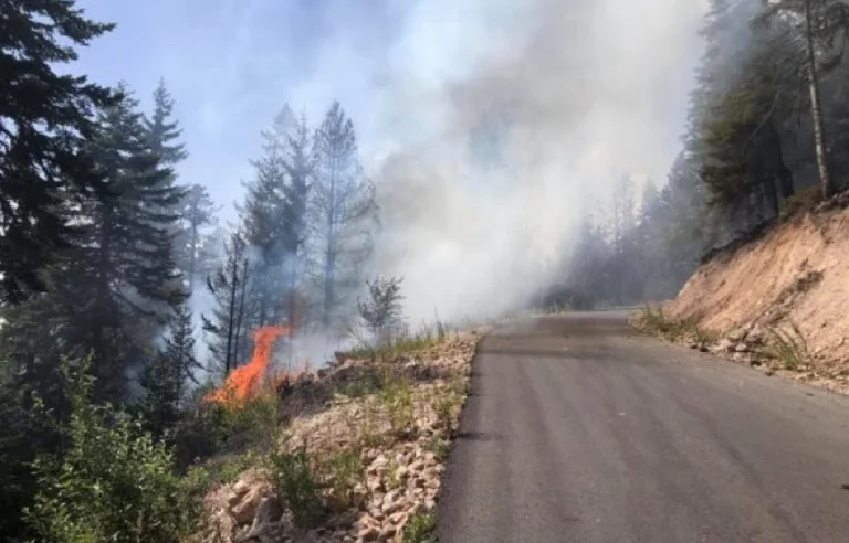 66 fire cases for 24 hours in Kosovo
