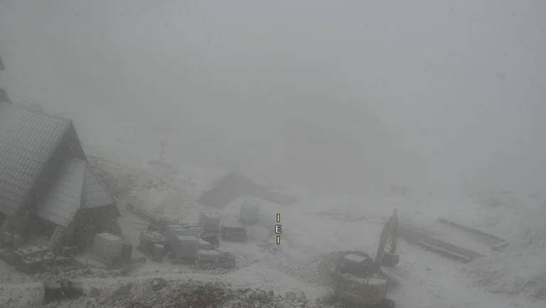 Weird: Slovenia Covers Snow