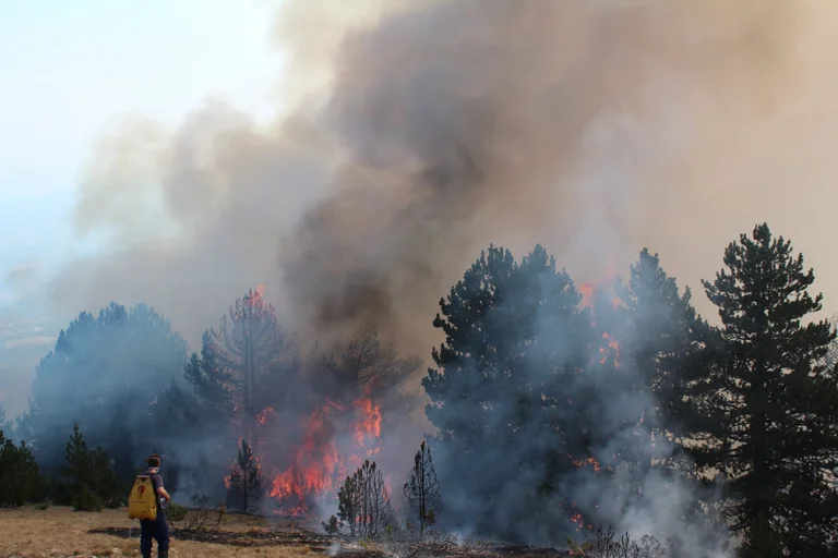 Emergency Management Agency: The threat of fires remains high, there are 66 cases of fires