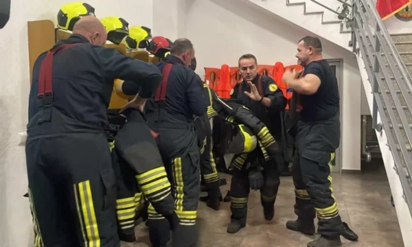 Alarming situations with fires on the territory of the capital and the wider municipality: 7 brigades on the ground, additional firefighters have been engaged
