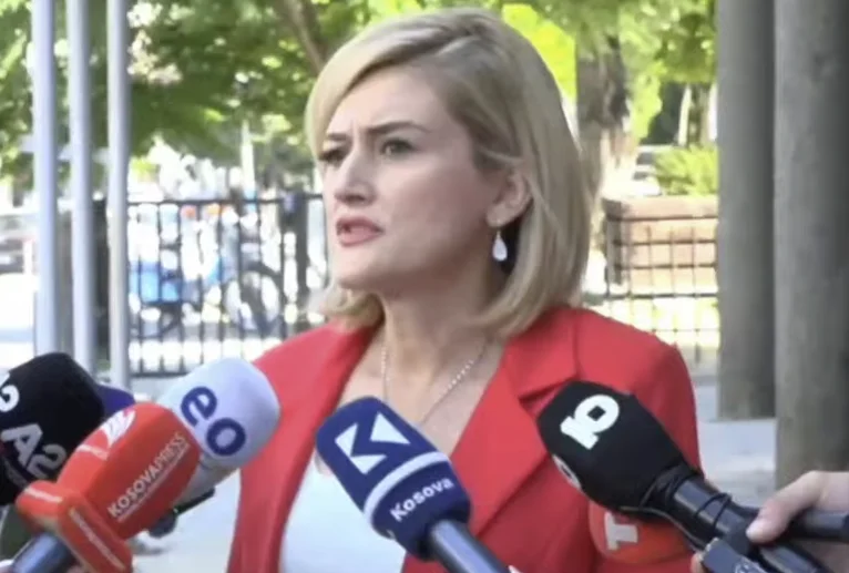 Kusari-Lila: Parties agree to constitute assembly only to distribute it so that we can go to premature solutions