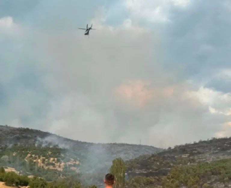 Fire spread that broke out around the border in the day, Hani Elezite, Blace.