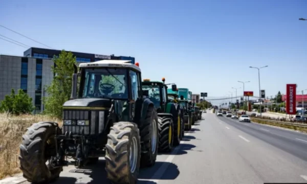 “Kosovar agricoltori dicono che la Serbia riempie il mercato di grano vecchio