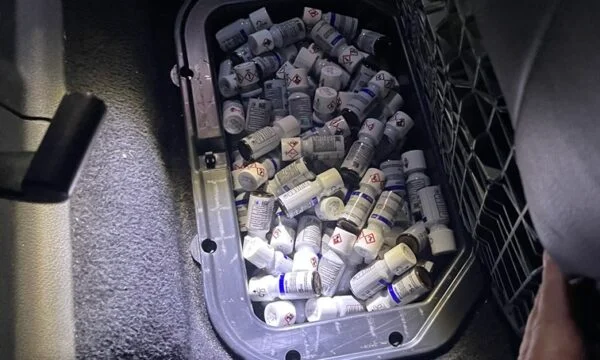 Attempted smuggling into Brnjak: Undeclared insecticides originating from Serbia