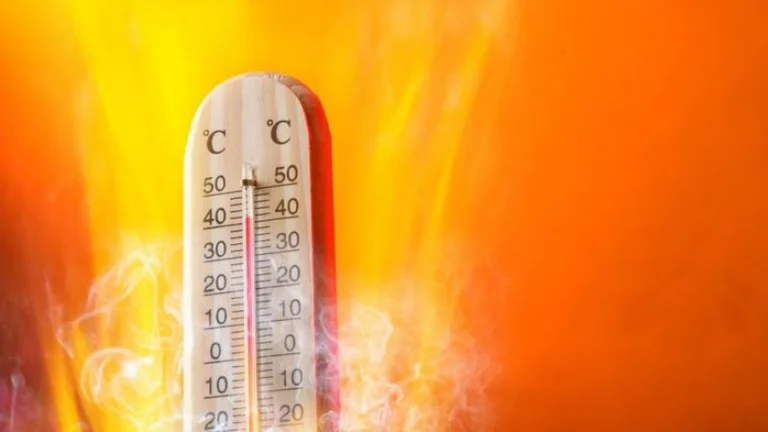 The burning temperature: The thermometer will mark 40 degrees Celsius