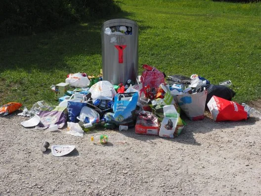Up to 300 Swiss francs: Environmental regulations violations face heavy fines