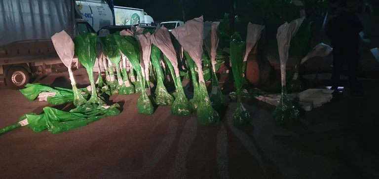 Tráfico de drogas, la policía confisca 7 mil euros de bienes