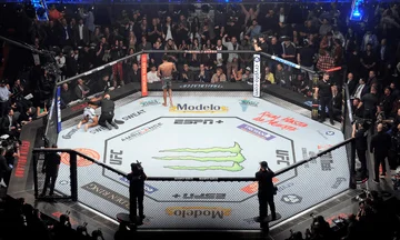 Die Pensionierung des Warrior of UFC war ein Schwergewicht Champion.