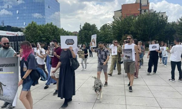 Protest contro cattiva gestione del denaro per cani randagi: Cittadini fuori tasca, comune per piacere