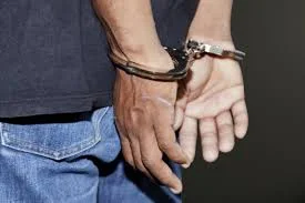Negoziato a Novoberda, un presunto abuso e abuso di bambini in pornografia