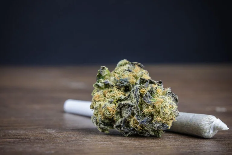 La policía encuentra y apunta a la marihuana en Istog