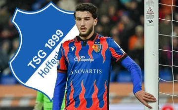 Ein weiterer Albaner in Hoffmannheim wird fast 8m Euro gemacht
