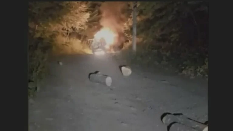Illegal forest cutters set the vehicle on fire and flee