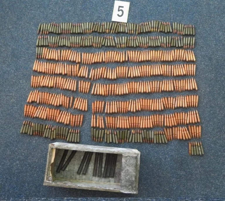 Bloodov: After practicing violence against his wife, police find guns and 597 bullets