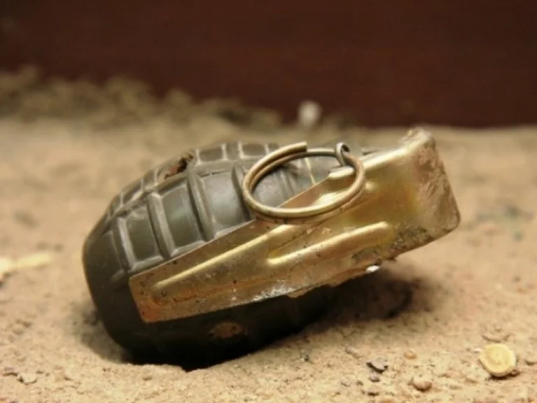 Unbroken hand grenade found in Malisheva Baza