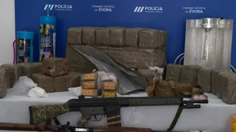 13 arrestados, confiscación de 60 mil euros y armas: Police Destroy Drug Trafficking Network in Portugal