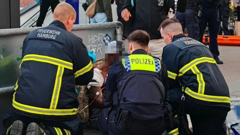 Bild: A woman stabbed several people in Hamburg, 12 wounded, three in danger for life