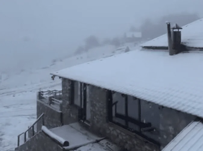 Schnee ist in der Mitte des Mais bedeckt