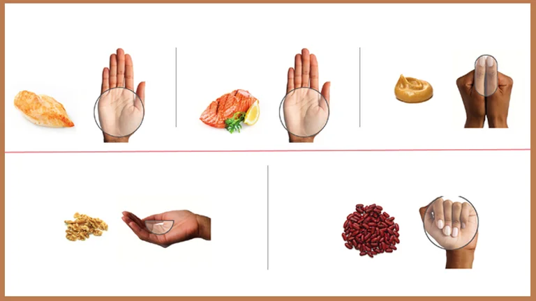La cantidad adecuada de comida es tan grande como la palma de la mano