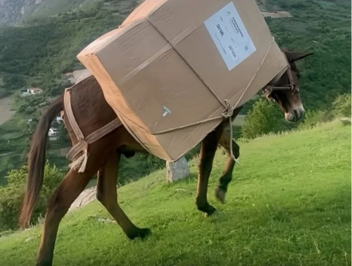 Stimmenboxen von Mules in Albanien