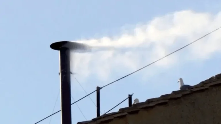 Pope chosen, white smoke in Vatican