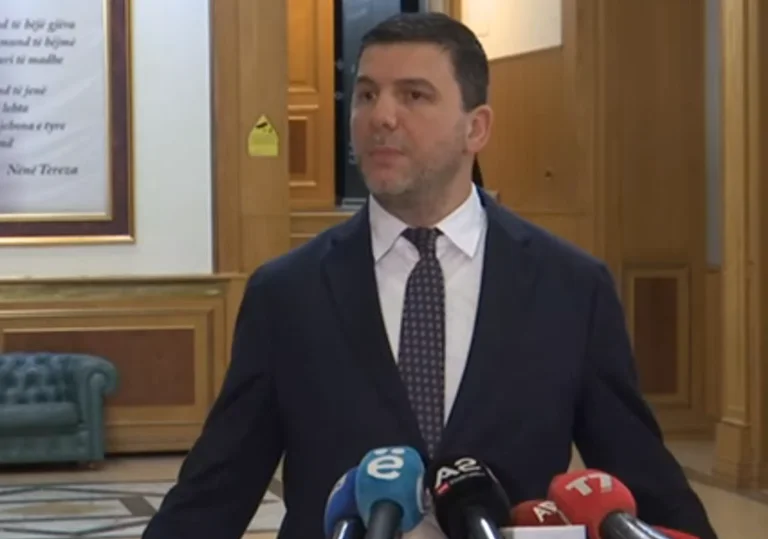 Krasniqi talks about the LDK's proposal: We're going out this afternoon.