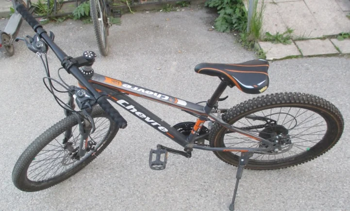 Bicicletta, Squirrel Stealing Suspect Arrested a Mitrovica