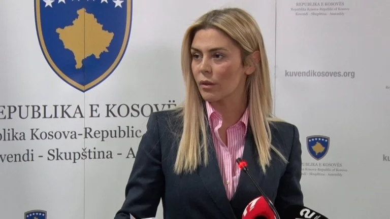Deliu-Kodra: Të hetohet edhe Martin Berishaj si “tregtar i energjisë” duke bartur çanta me para