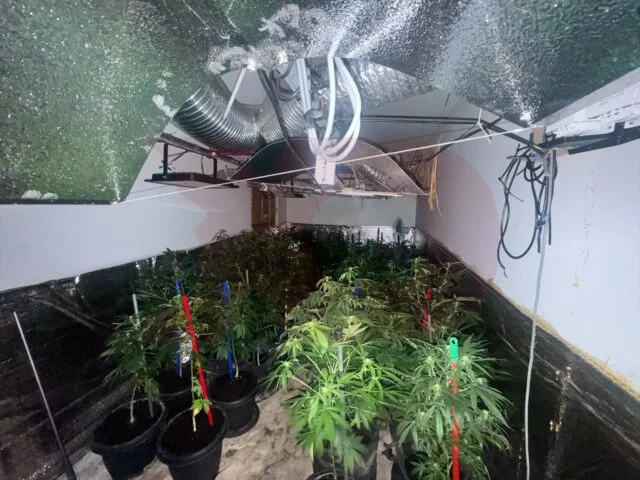 Ein Arzneimittellabor auf dem 7. Stock einer Residenz in Prizren entdeckt, drei verhaftet