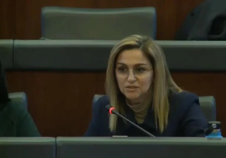 Il a été mentionné comme un candidat pour le président du Parlement, l'Albanais Selimi réagit: Nous avons proposé, vous allez voter.