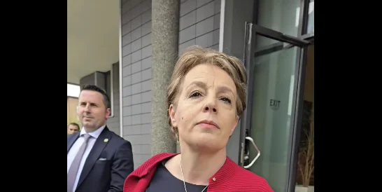 VV quit the session, Gervala: MPs who don't want to be certified are honestly not in mind