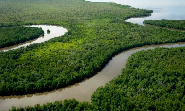 Tragedy in the Congo River, at least 50 dead