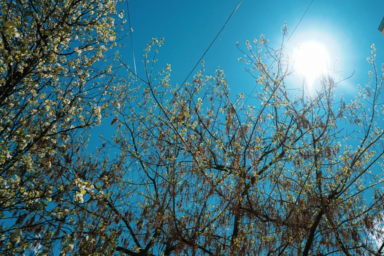 Printemps: températures jusqu'à 24 degrés Celsius